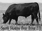 SOUTH SHADOW OVER DRIVE 27J 