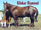 Kilobar Diamond