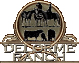 The Delorme Ranch Program; Black Angus Cattle, APHA/AQHA Horses
