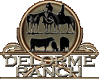 The Delorme Ranch Program; Black Angus Cattle, APHA/AQHA Horses