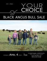 Your Choice Bull Sale 2020