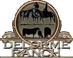 The Delorme Ranch Program; Black Angus Cattle, APHA/AQHA Horses