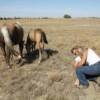 Our granddaughter, Nevaeh, with her pony Peanut.  Peanut had a little buckskin colored filly in 2009.  This little filly is called Butter.  Butter is Isabella's, (our other granddaughter) up and coming pony.