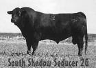 South Shadow Seducer 2G