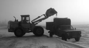 chore time, loading the silage wagon
